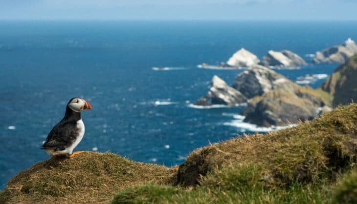 KLM with Loganair to Scottish islands