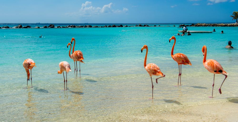 Aruba borders reopen between June 15 and July 1
