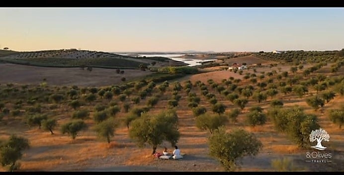 Isropa Travel becomes &Olives Travel