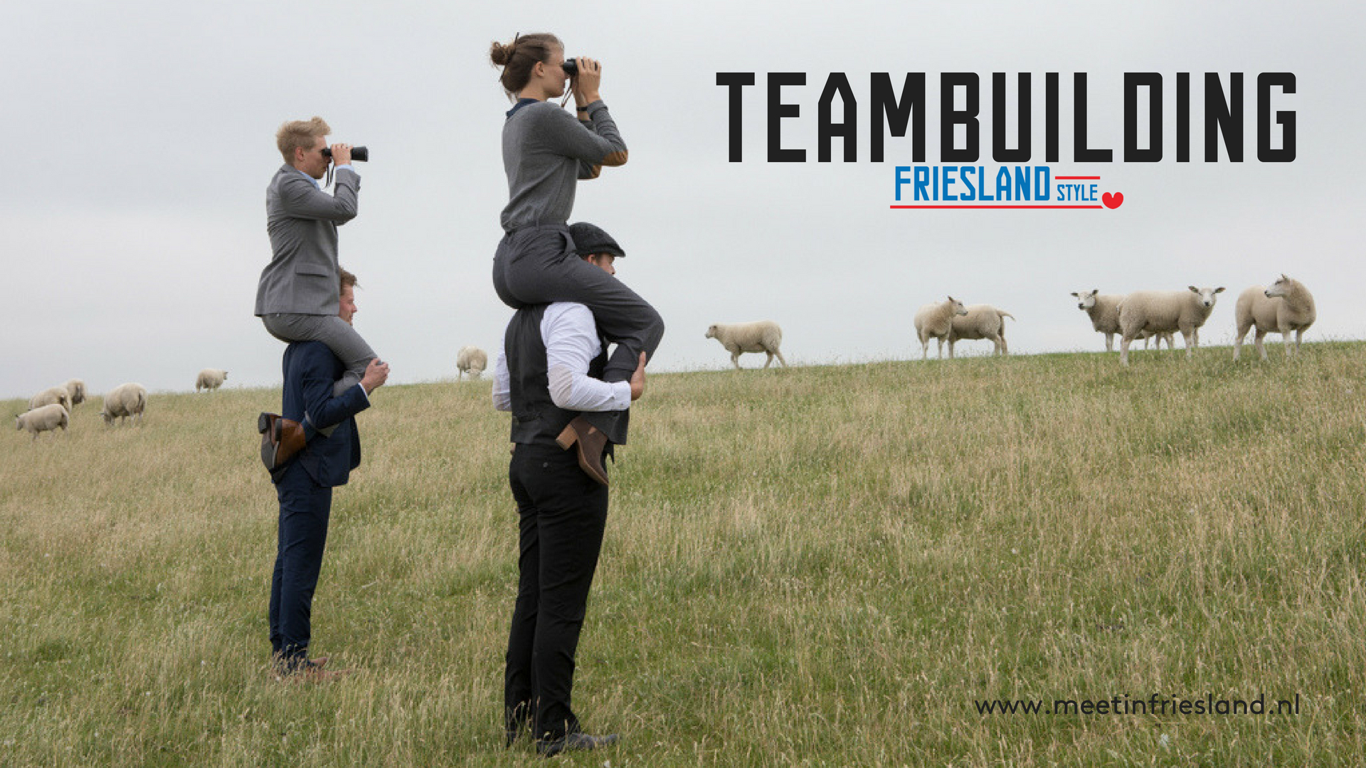 Meet our exhibitors: Friesland