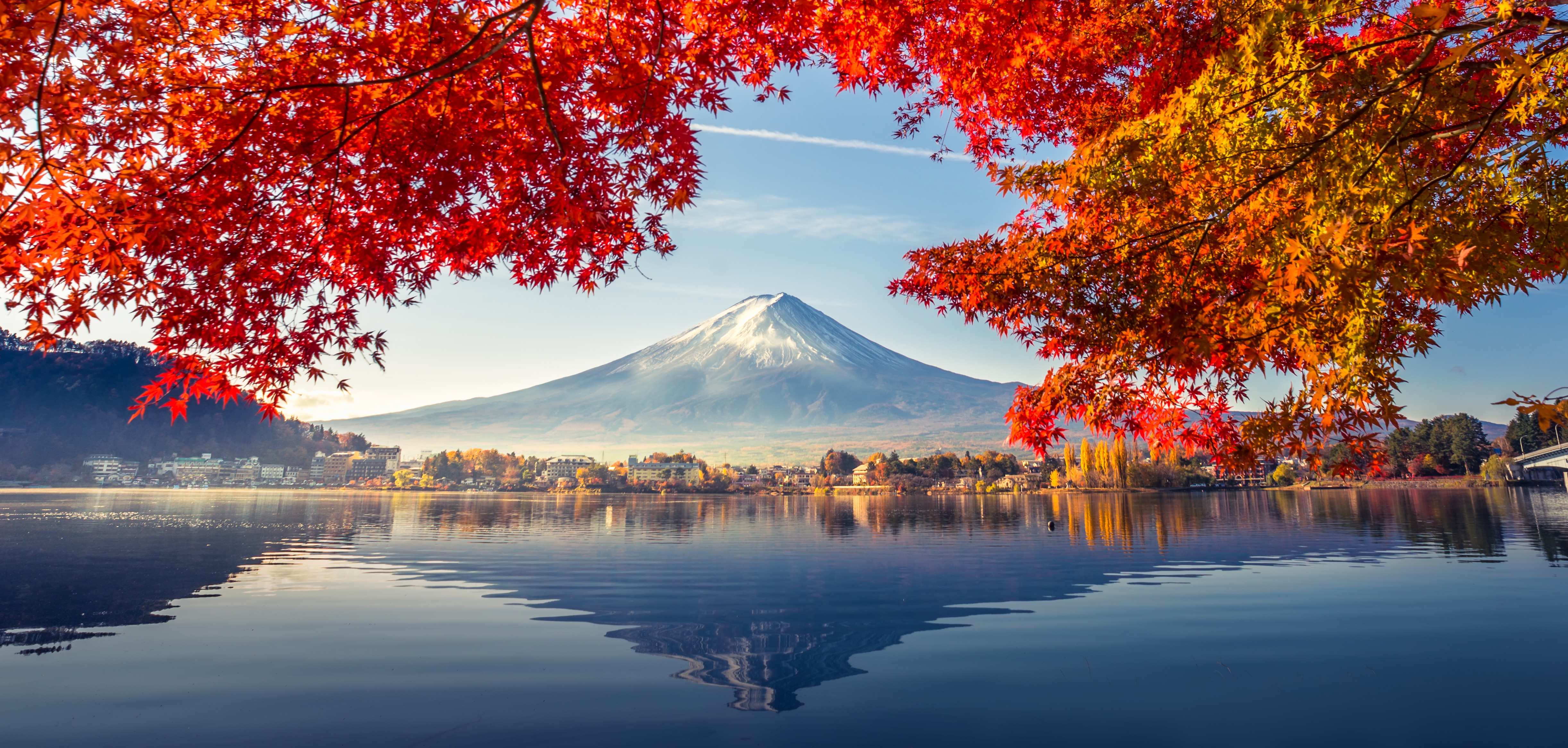 International business events are back in Japan
