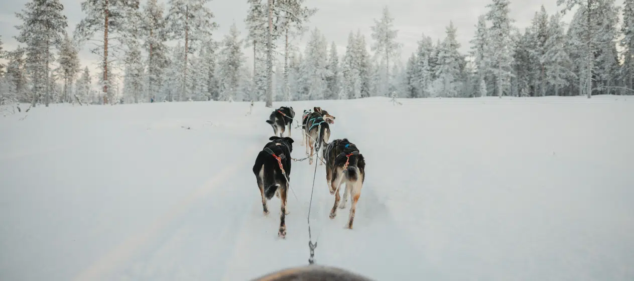 KLM adds a new winter destination: Kittilä, Finland